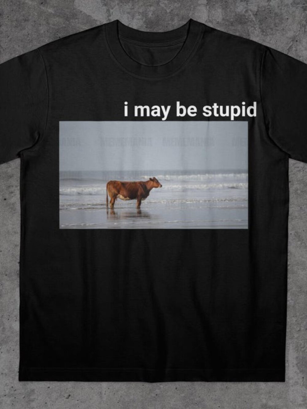 I May Be Stpid Cow on Beach Funny T-Shirt